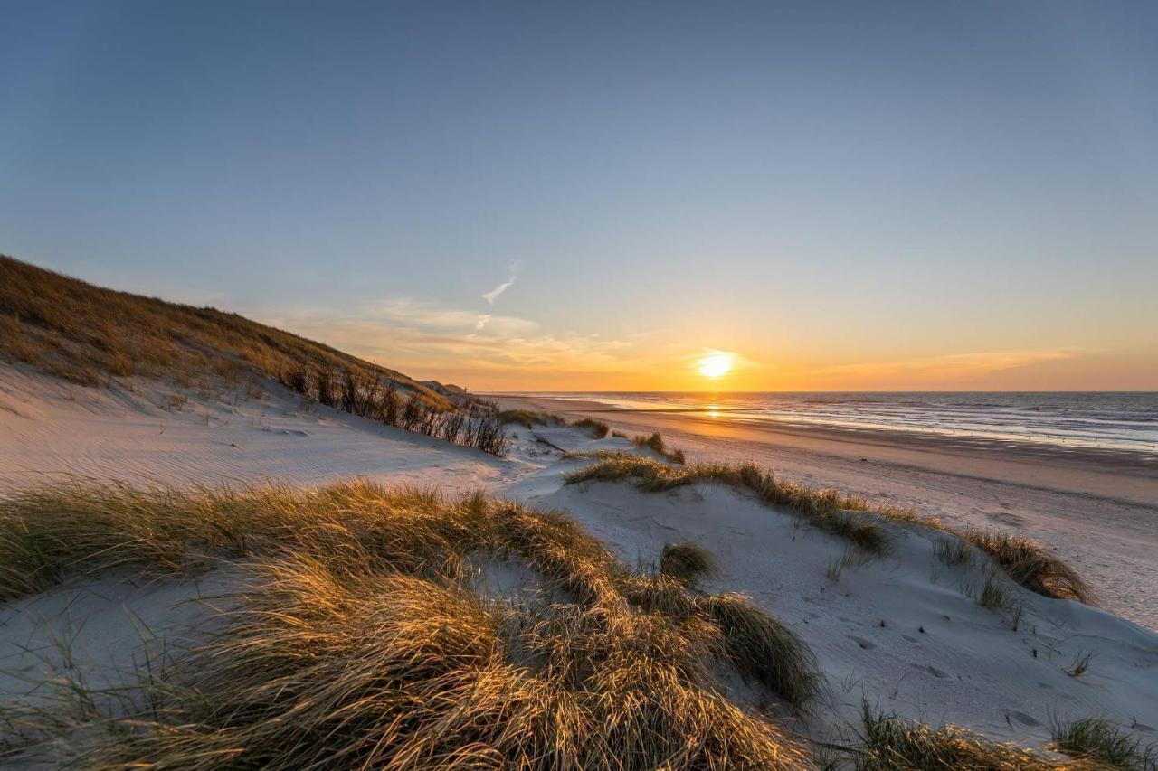 Stranddistel 3* Norderney