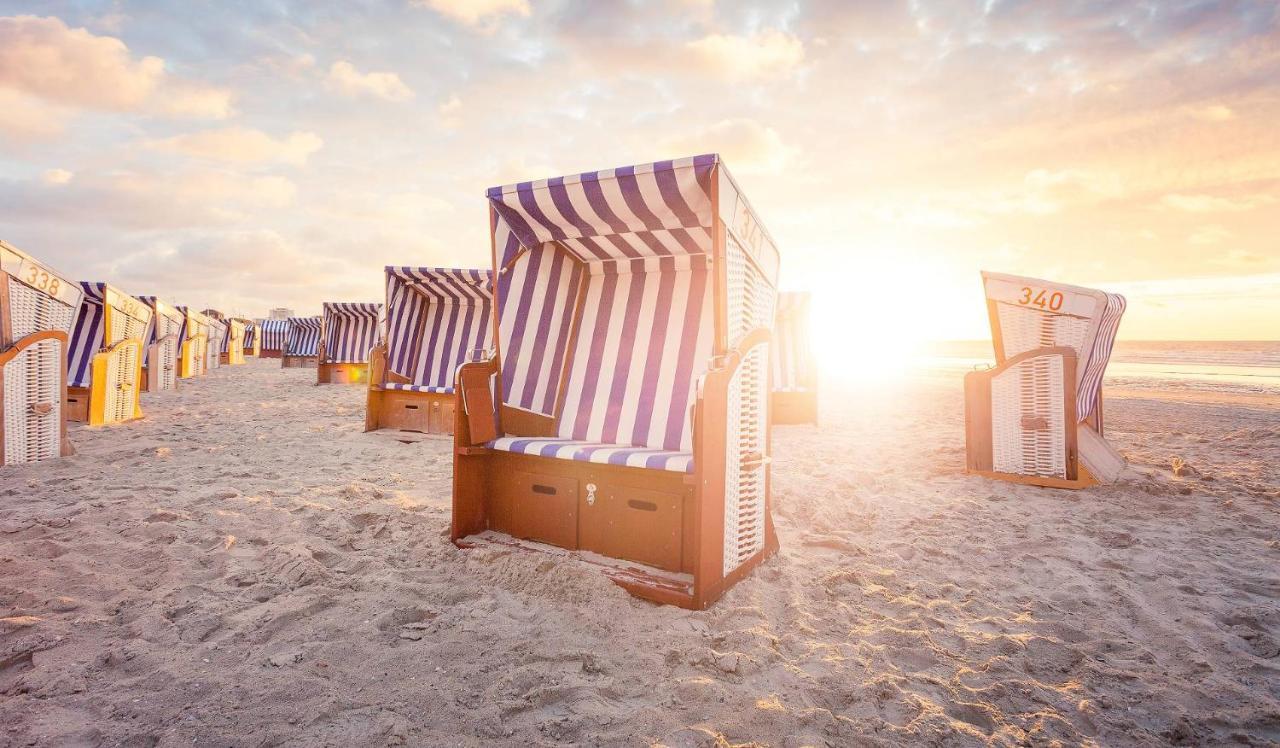 Stranddistel